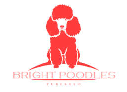 BRIGHT POODLES